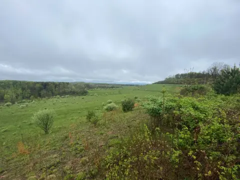 Rolling Hunting Land Tract