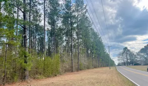 Hattiesburg Vacant Land Opportunity