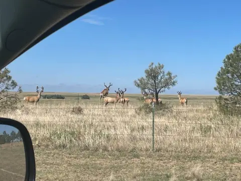 Colorado Legacy Farming and Ranching