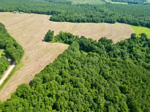 Recreational Land with Cabin