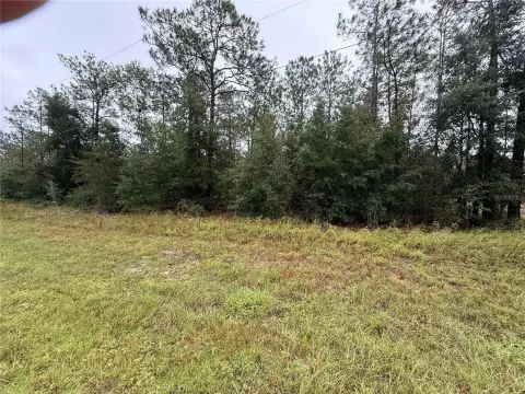 Commercial Land with Utilities