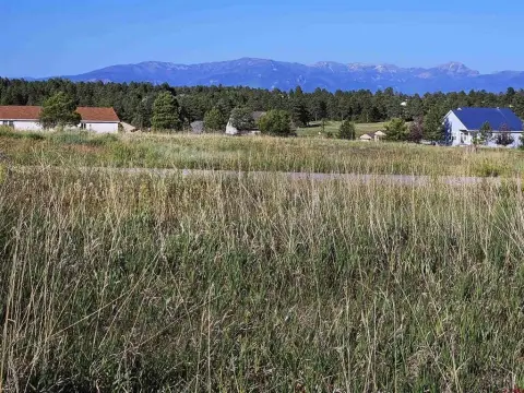 Pagosa Springs Residential Land