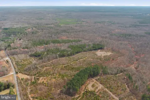 Spotsylvania County Timber Land Parcel