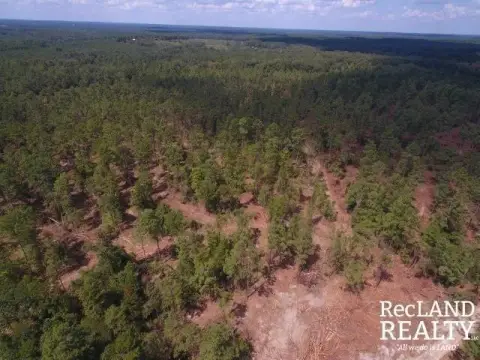 Timberland Hunting Tract