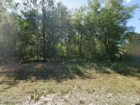 Georgetown, FL Unimproved Land Parcel