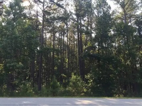 Residential Lot in Reynolds Lake