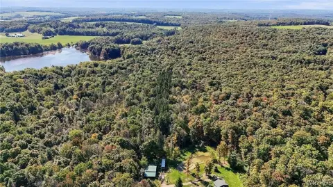 Secluded Land Near Letchworth Park