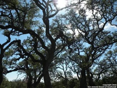 Residential Land in Bulverde, Texas