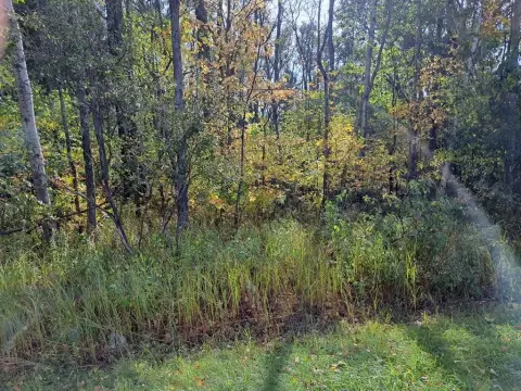 Sturgeon Bay Wooded Land Parcel