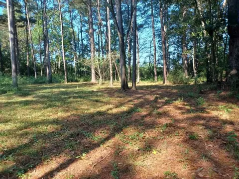 Lake Hillsdale Vacant Land