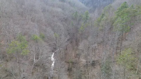 237 Acres Prime Kentucky Timberland