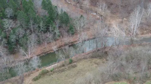 Eastern Kentucky Timberland Investment