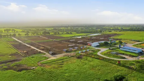 Permitted Livestock Grow Yard
