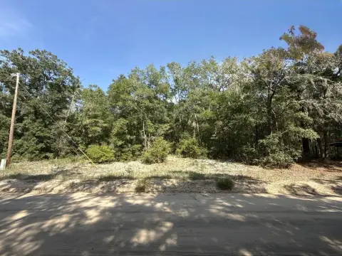 Residential Land in Interlachen, Florida