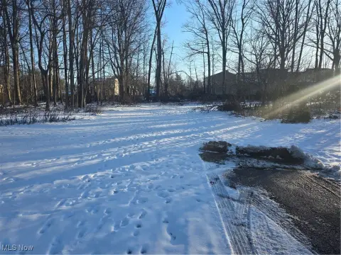Residential Land Near Lake Erie