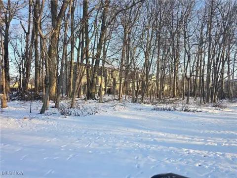 Residential Land Near Lake Erie