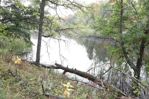 Wooded Land Near Yellow River