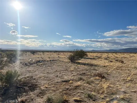 2.5 Acres of Desert Land