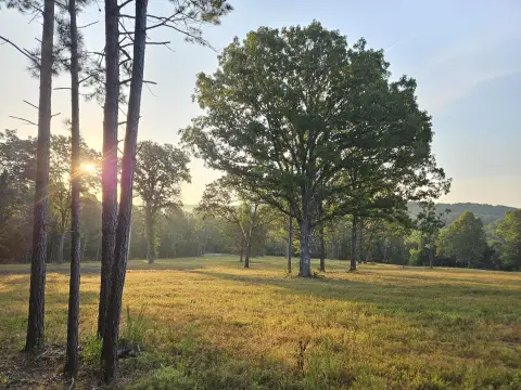 Ozarks Hunting Land