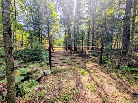 Hunting Land with Food Plots