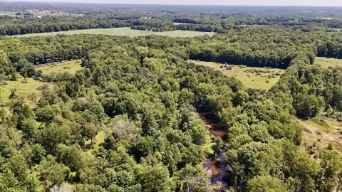 Recreational Land with River Frontage