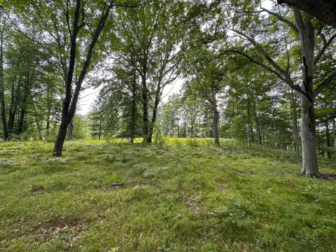 Recreational Hunting Land with Pond
