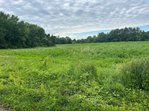Vacant Land Parcel with Level Acreage