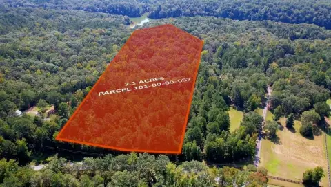 Lake Russell Wooded Waterfront Land