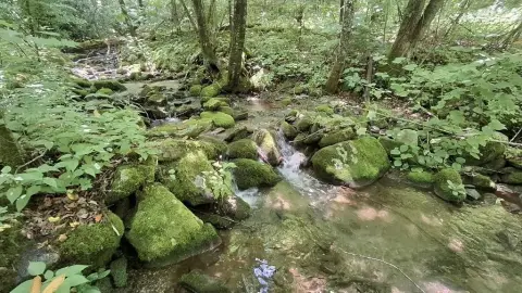 Unrestricted Creekfront Recreation Land