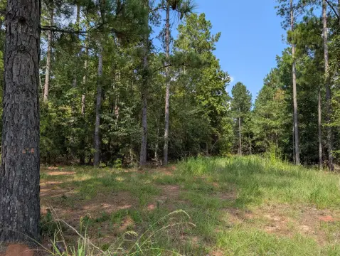 Lincolnton, GA Land Opportunity