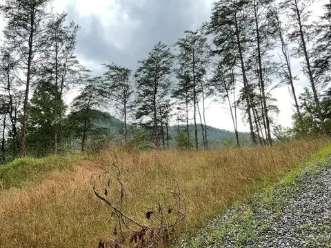 Unrestricted Homesite with Creek