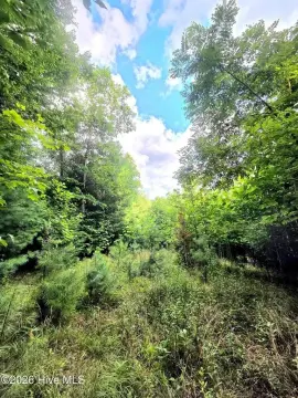 Unrestricted Mountain Land Parcel
