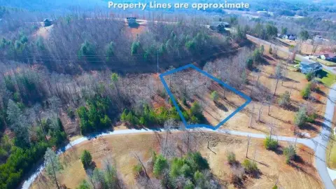 Blairsville Vacant Lot with Views