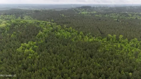 Lauderdale County Land For Sale