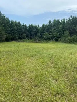 Carriere, MS Land Tract