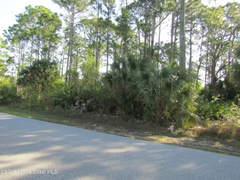 Palm Bay Land For Sale