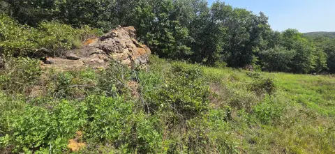 Recreational Hunting Ranch