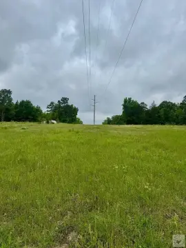 Secluded Linden Acreage Homesite Potential