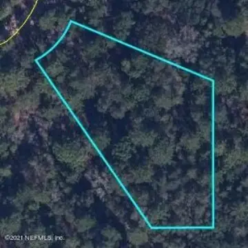 Keystone Heights Wooded Lot