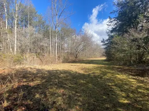 Residential Development Lot with Creek