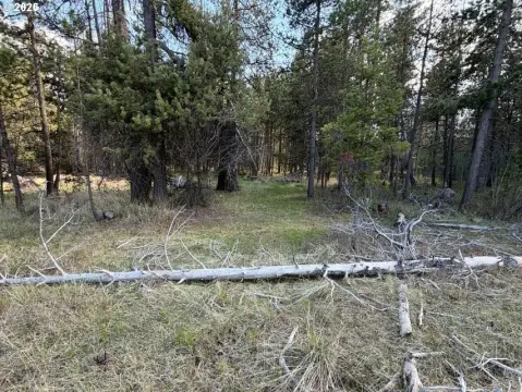 Land Near Deschutes River, Bend