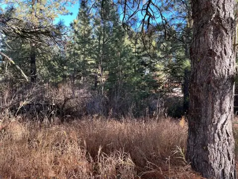 Cascade Land Near Lake