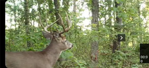 St Croix Falls Hunting Land