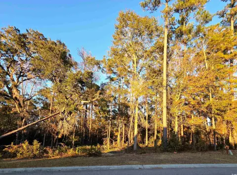 Conway SC Residential Lot