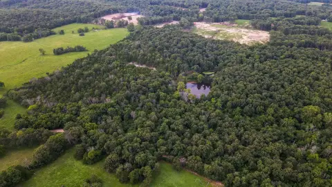 Recreation Land with Stocked Ponds