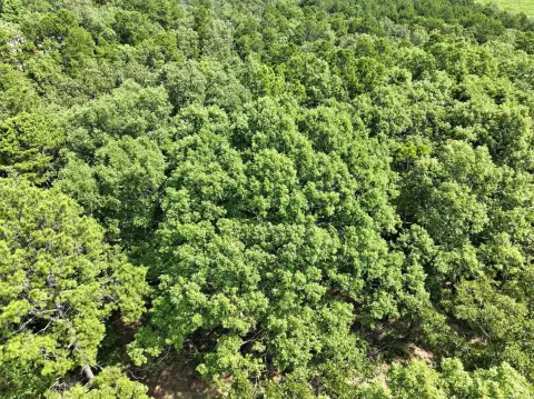 Mena, AR Acreage For Sale