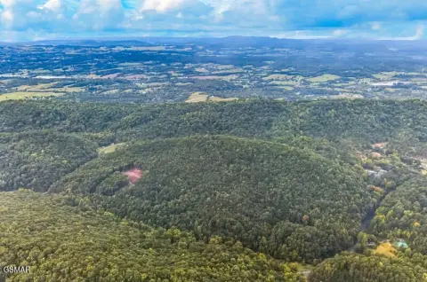 Wooded Recreational Land