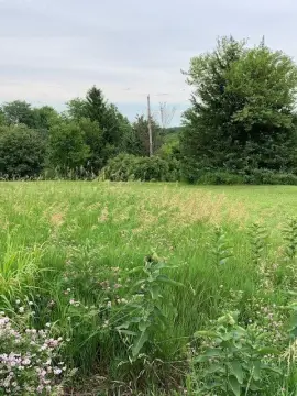 Combined Lake-Access Build Site