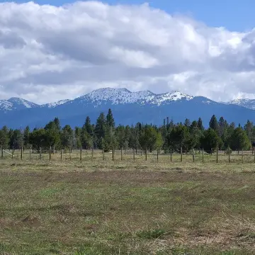 View Lot Near Tamarack Resort