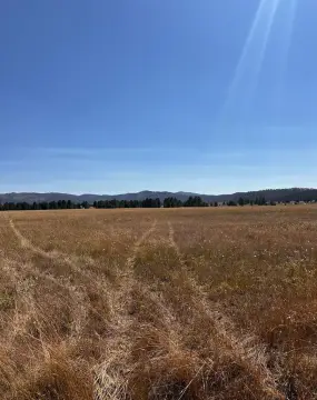 16 Acres in Round Valley